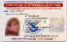 work permit